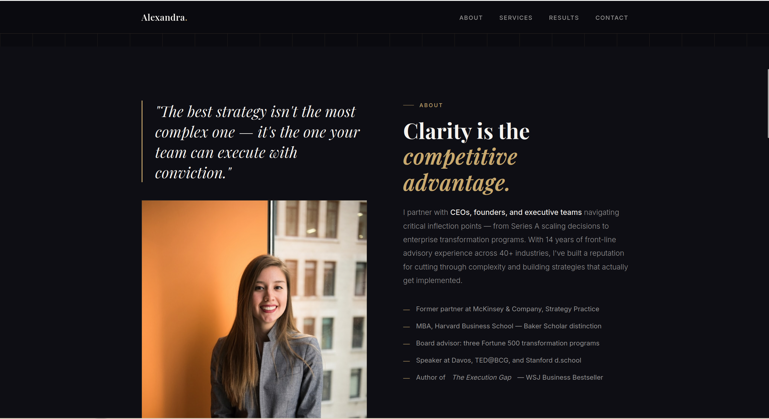 Professional Portfolio preview